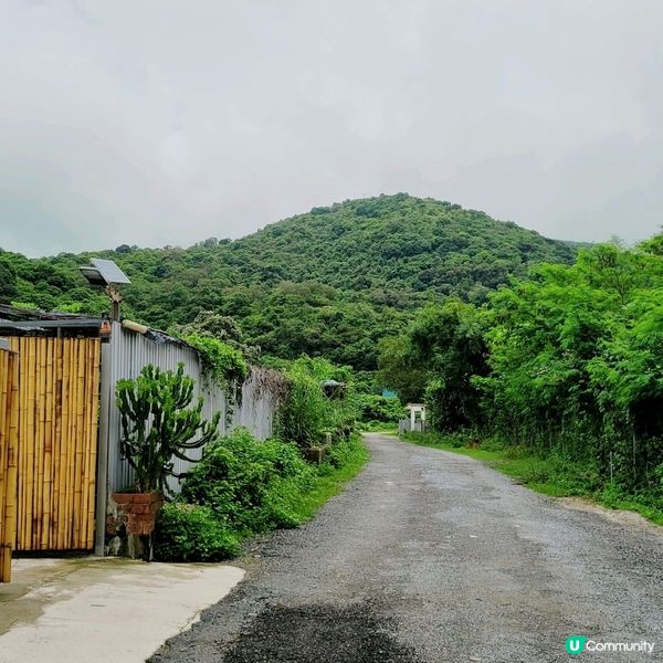 The Hideout 是一間梅窩的人氣 cafe, caf...