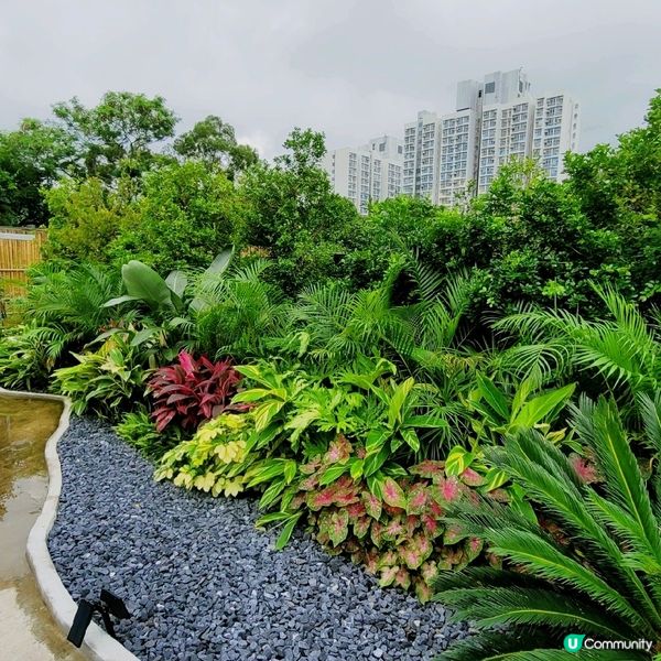 The Hideout 是一間梅窩的人氣 cafe, caf...