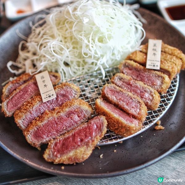 京都勝牛開到去荃灣廣場喇😋呢間分店仲連住TOKYO DOLC...