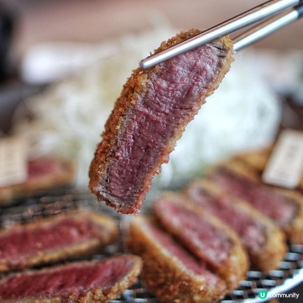 京都勝牛開到去荃灣廣場喇😋呢間分店仲連住TOKYO DOLC...