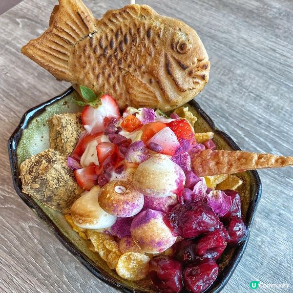 京都勝牛開到去荃灣廣場喇😋呢間分店仲連住TOKYO DOLC...