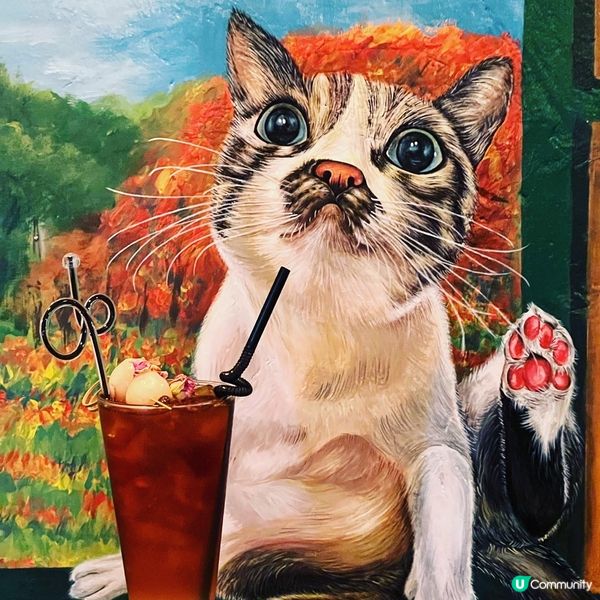 太子有格調西餐廳 朋友聚會之選☺️