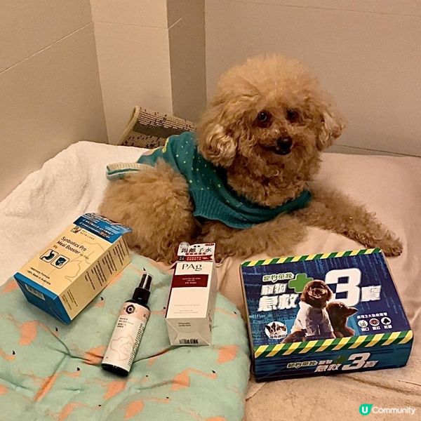 我家的毛小孩平常活潑好動，不管是在家或是外出，難保不會有意外...