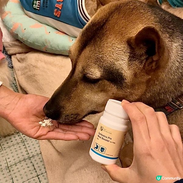 我家的毛小孩平常活潑好動，不管是在家或是外出，難保不會有意外...