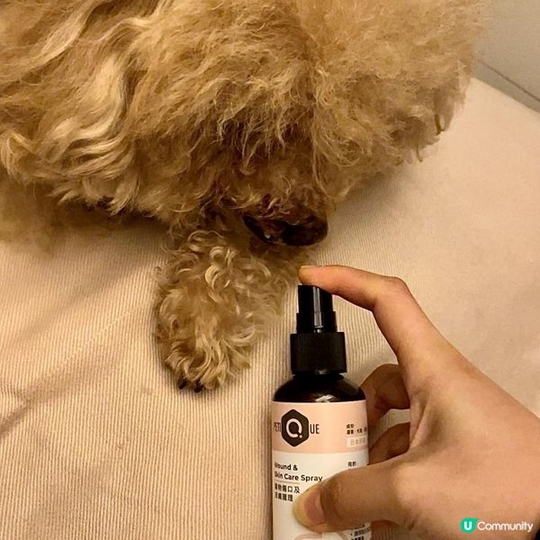 我家的毛小孩平常活潑好動，不管是在家或是外出，難保不會有意外...