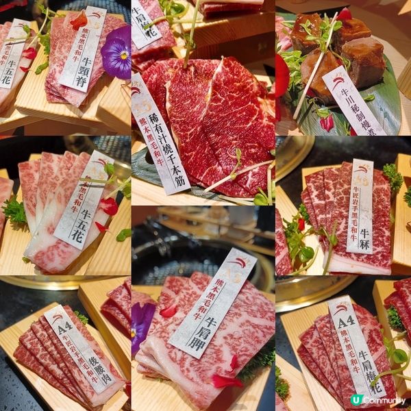 🥩銅鑼灣CP值高日本直送A5和牛放題