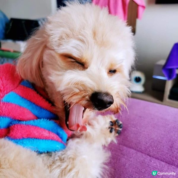 🍭：我叫波板糖妹妹，但人人都叫我做趣怪妹妹。。