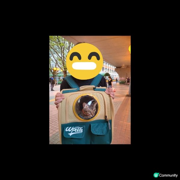 爸爸帶我去街街，小妹，我們去睇醫生呀 😅 小妹成日都八八卦卦...