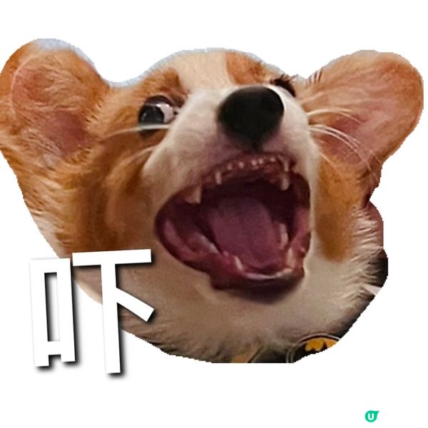 狗狗的表情包 × 內心獨白