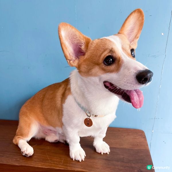 做model 影靚相真係唔容易啊 🥵 流哂口水除左因為天氣熱...