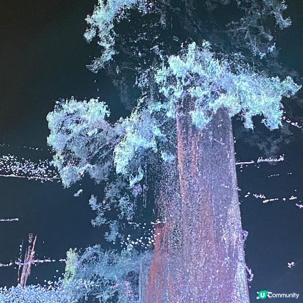 大館－古蹟及藝術館