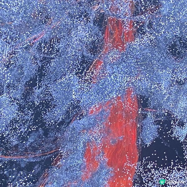 大館－古蹟及藝術館