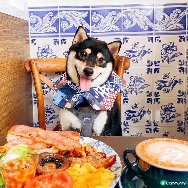 ☕🍠🥞🥗🦴🥞🥕