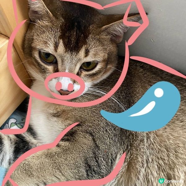 西遊記系列二：齊天大聖🐒