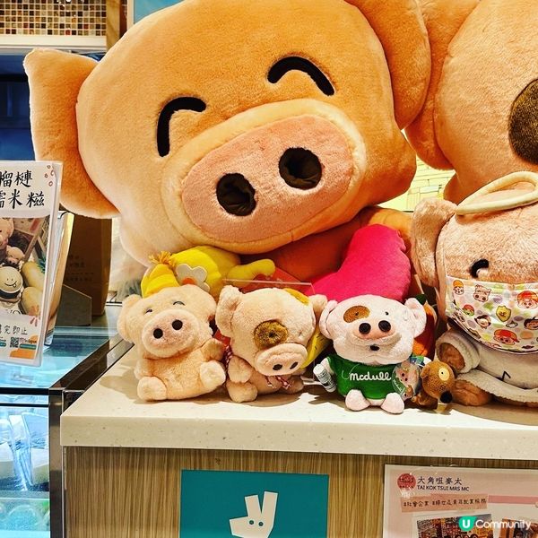 🐷麥兜好可愛呀！