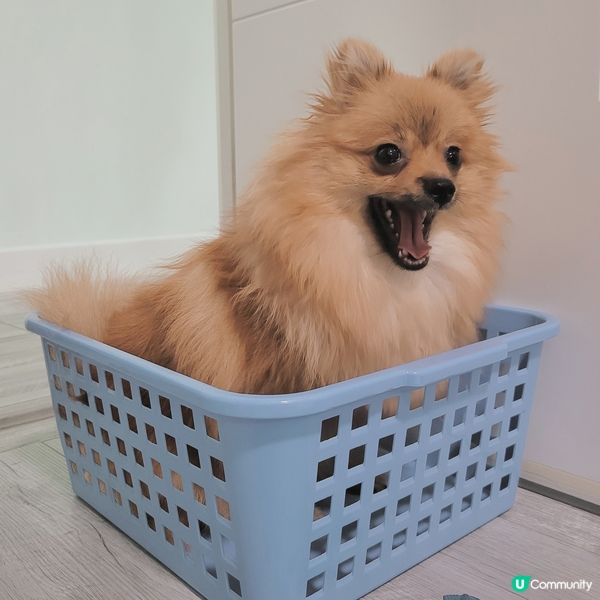 又係比mama玩殘系列🤦🏼‍♀️