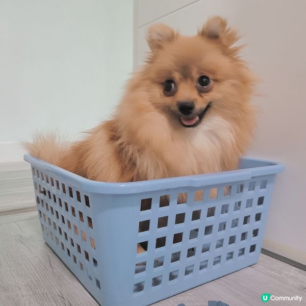 又係比mama玩殘系列🤦🏼‍♀️