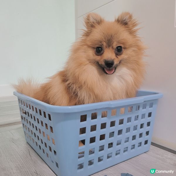 又係比mama玩殘系列🤦🏼‍♀️