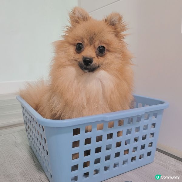 又係比mama玩殘系列🤦🏼‍♀️