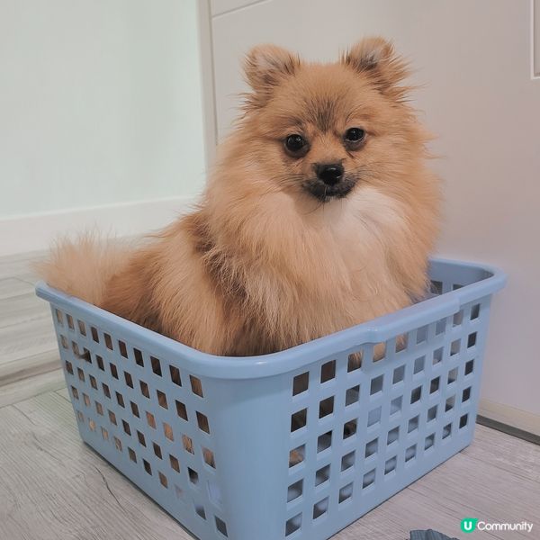 又係比mama玩殘系列🤦🏼‍♀️