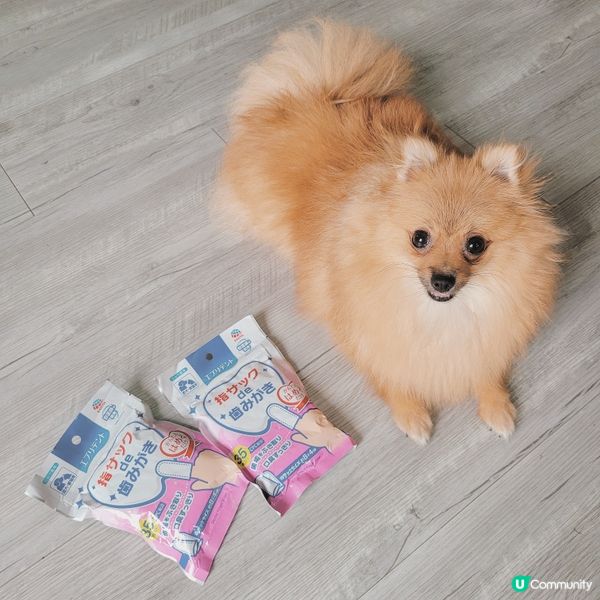 你地鐘唔鐘意刷牙仔架❔️