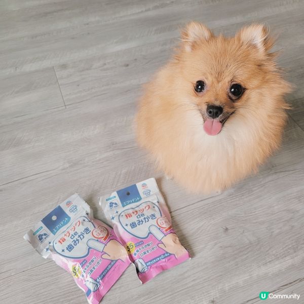 你地鐘唔鐘意刷牙仔架❔️