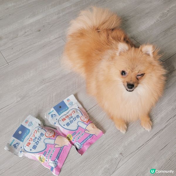 你地鐘唔鐘意刷牙仔架❔️