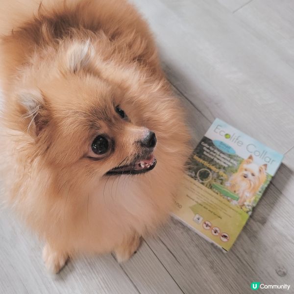 平時出去草地玩最怕會比蟲蟲咬