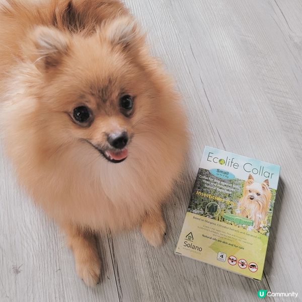 平時出去草地玩最怕會比蟲蟲咬