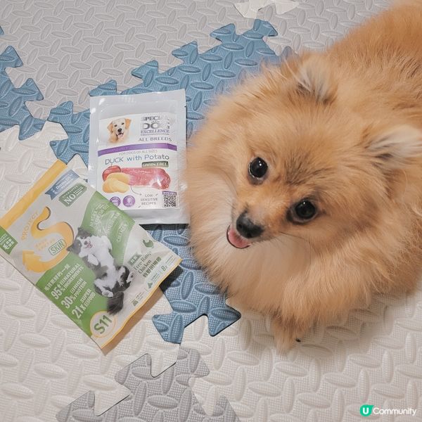 又黎介紹2️⃣款狗糧比大家啦❕️