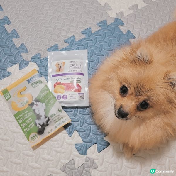 又黎介紹2️⃣款狗糧比大家啦❕️