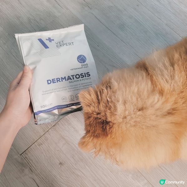 狗狗好容易會皮膚敏感同發炎🥲