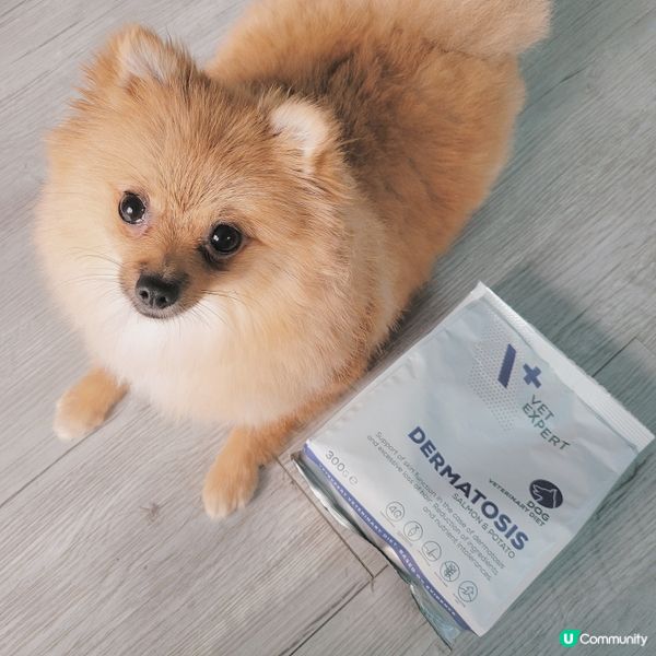 狗狗好容易會皮膚敏感同發炎🥲