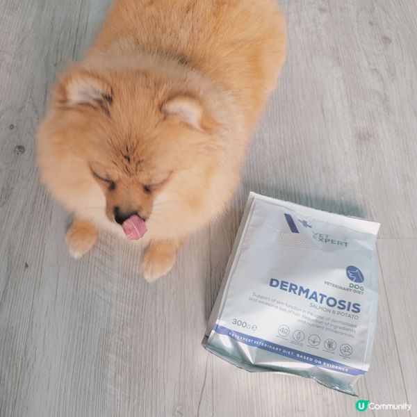 狗狗好容易會皮膚敏感同發炎🥲