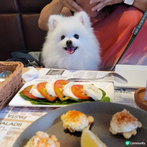 Creamie💞： 去完薄扶林郊遊樂再嚟食大餐！我想食水牛芝...