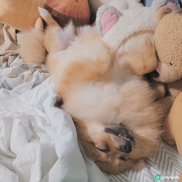 咩喎... 你地未試過攰得濟