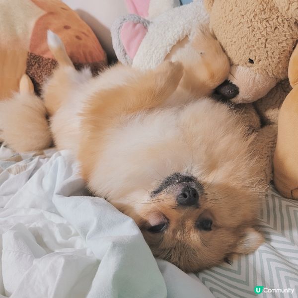 咩喎... 你地未試過攰得濟