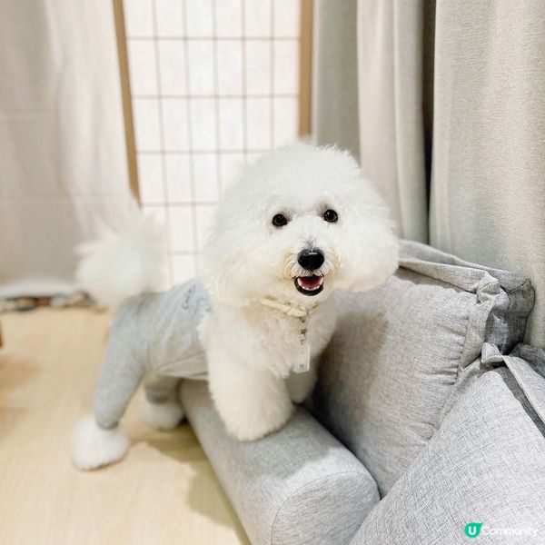 奴才早前喺Hidden Gems 體驗佢人生第一次同我🐶一齊...