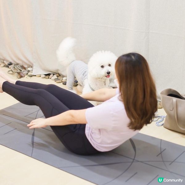 奴才早前喺Hidden Gems 體驗佢人生第一次同我🐶一齊...