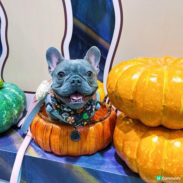 呢個作品係蒙娜麗莎的唔笑