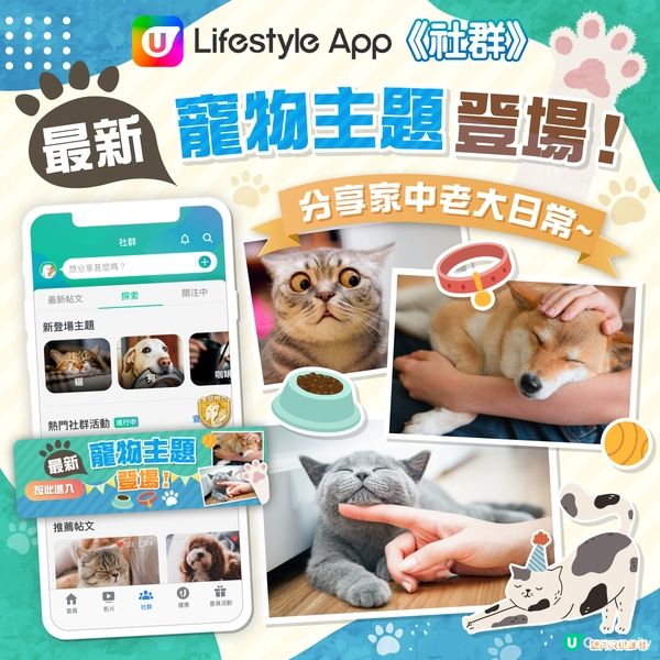 寵物主題新登場！ 