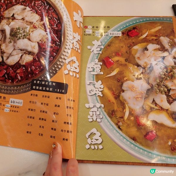 元朗十十四川料理酸菜魚