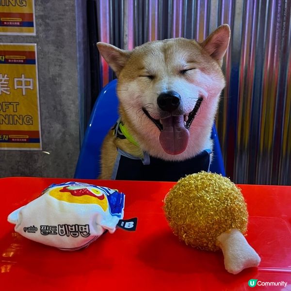 新開咗間韓國大排檔