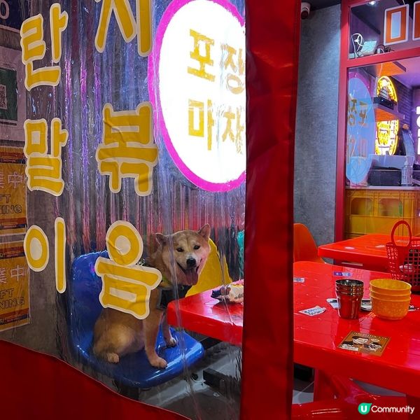 新開咗間韓國大排檔