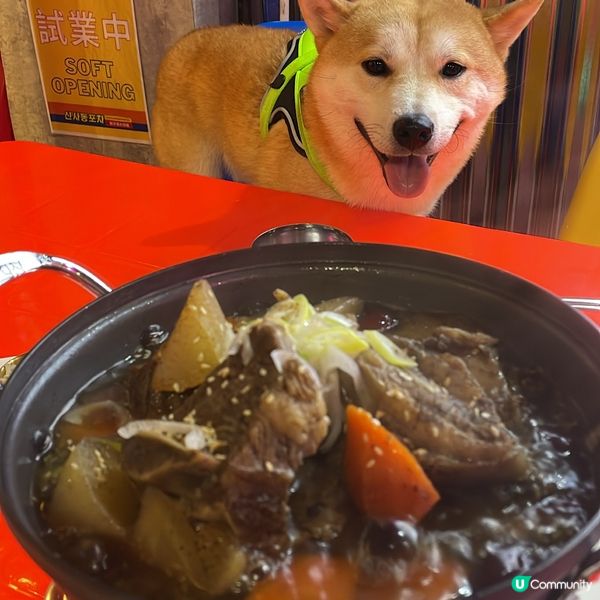 新開咗間韓國大排檔