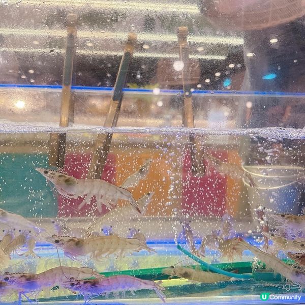 新開泰式火鍋放題❤️任飲任食2小時