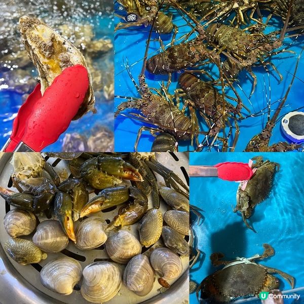 平日去釣蝦場，即夾即燒就食得多，今日去呢間《醉辣鮮》親自即夾...