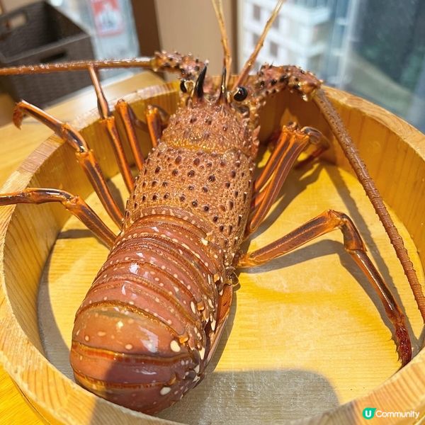 🦞(澳洲活龍蝦配龍蝦味噌醬）