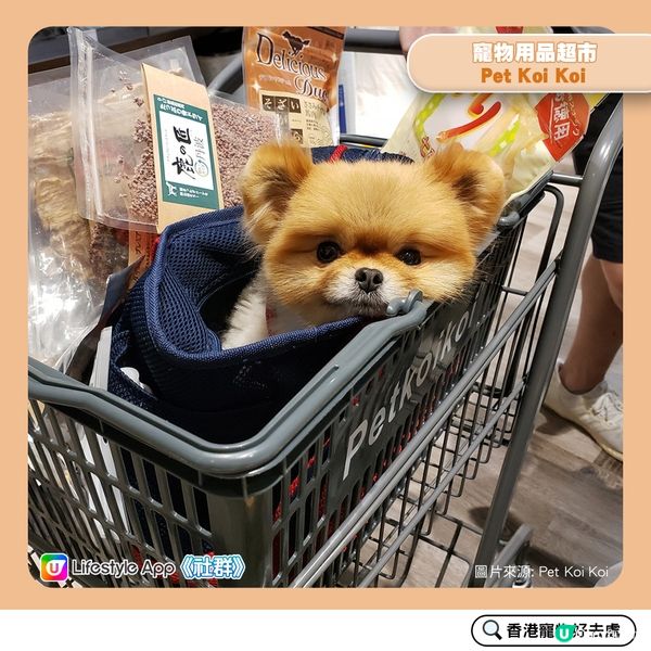【寵物好去處：超市篇】 