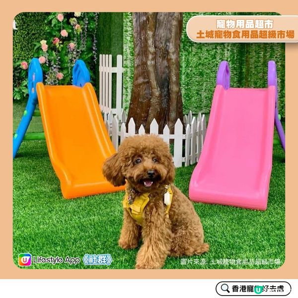 【寵物好去處：超市篇】 